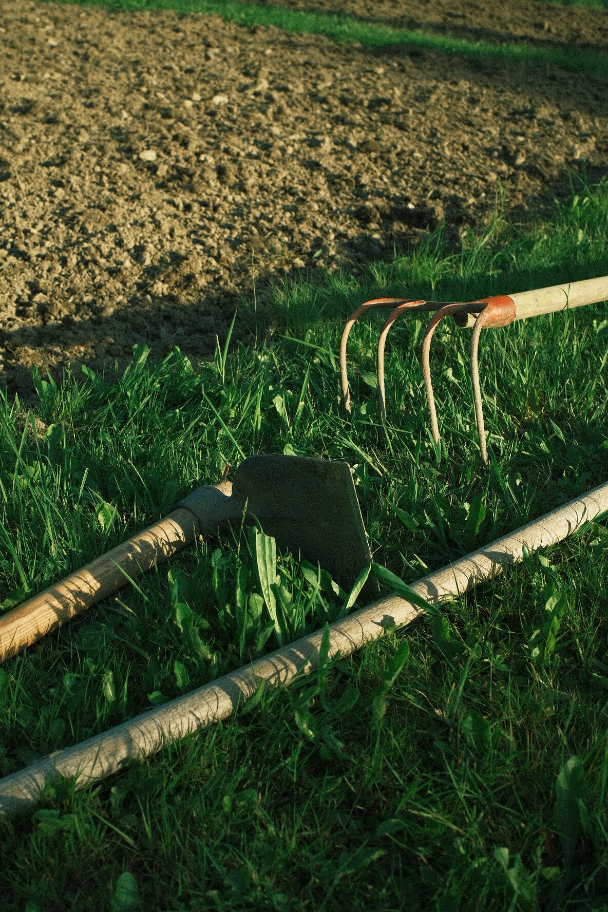 Ath hiu deras sasons en eth mié casau montanhós