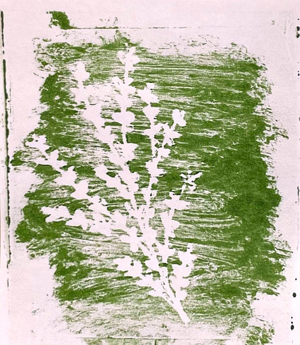 La farigola e sos benfaches per passar l’ivèrn